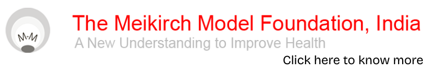 meikirch model odisha